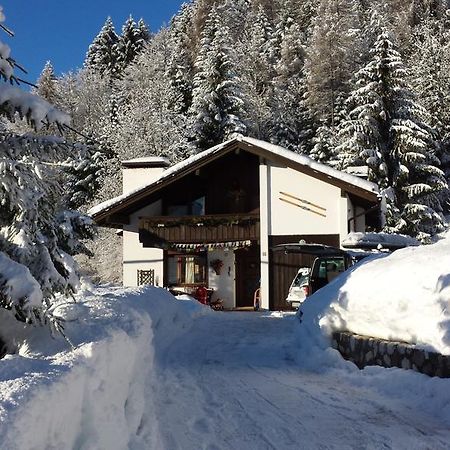 Appartement Orizzonti Montani à Pieve di Cadore Extérieur photo
