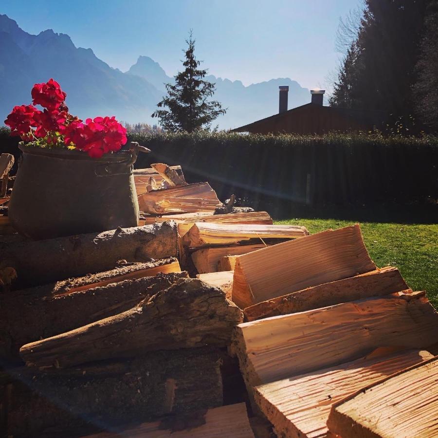 Appartement Orizzonti Montani à Pieve di Cadore Extérieur photo