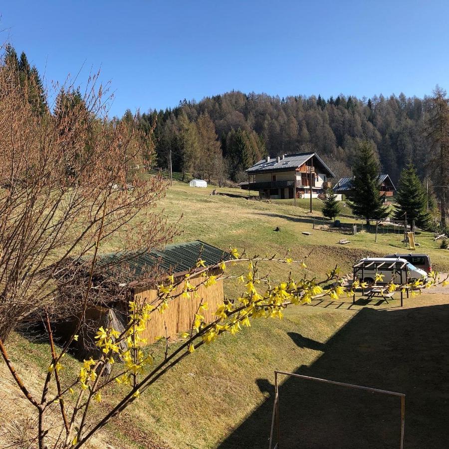 Appartement Orizzonti Montani à Pieve di Cadore Extérieur photo