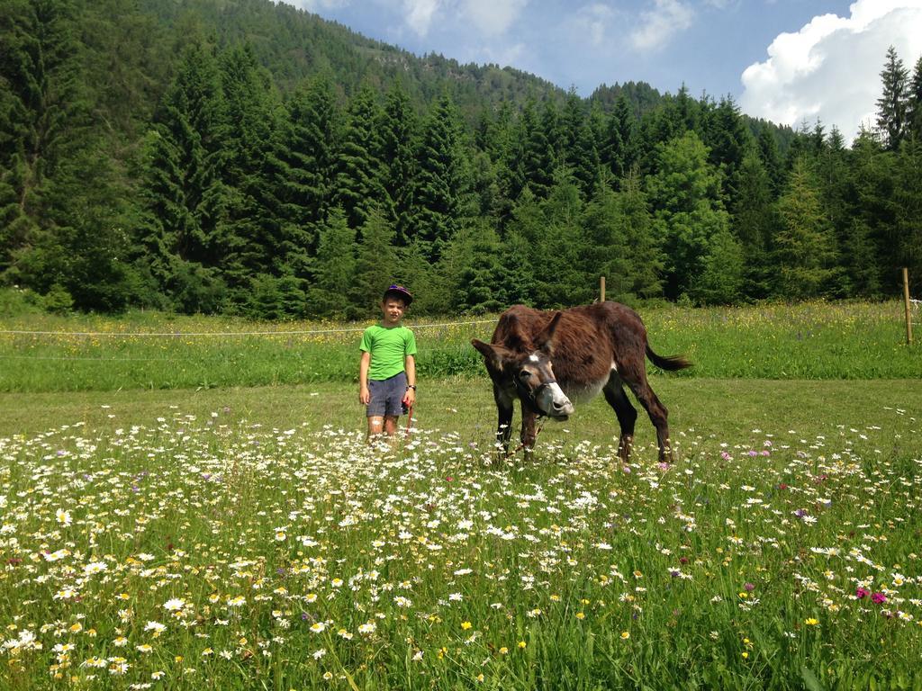 Appartement Orizzonti Montani à Pieve di Cadore Extérieur photo