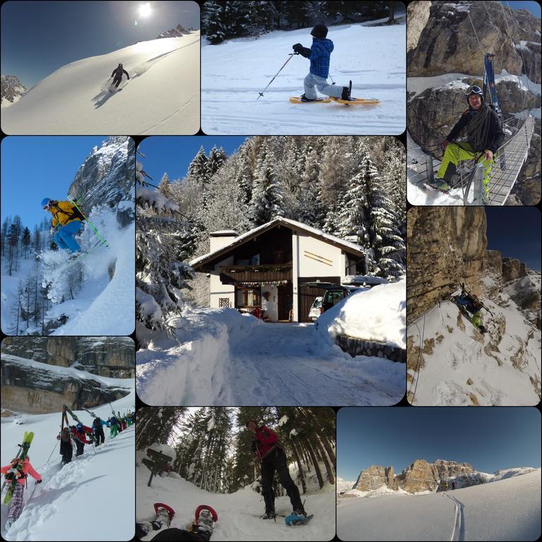 Appartement Orizzonti Montani à Pieve di Cadore Extérieur photo