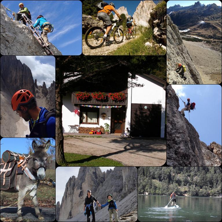 Appartement Orizzonti Montani à Pieve di Cadore Extérieur photo