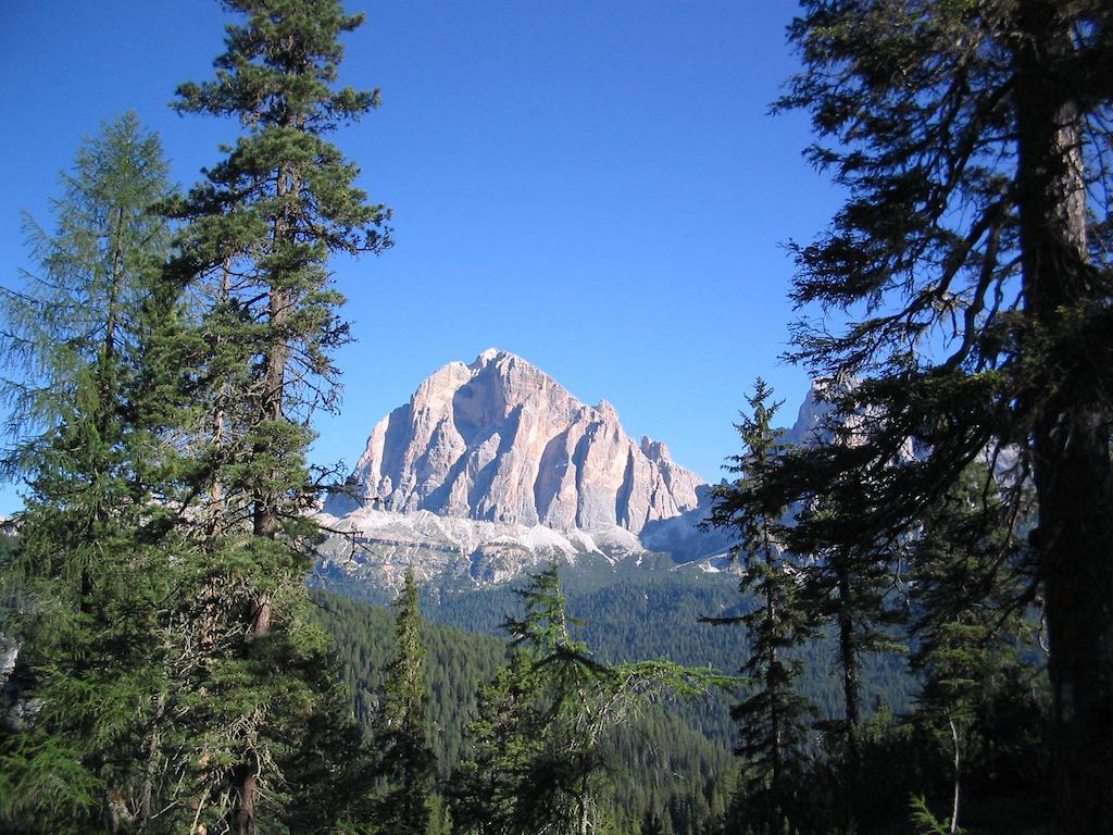 Appartement Orizzonti Montani à Pieve di Cadore Extérieur photo